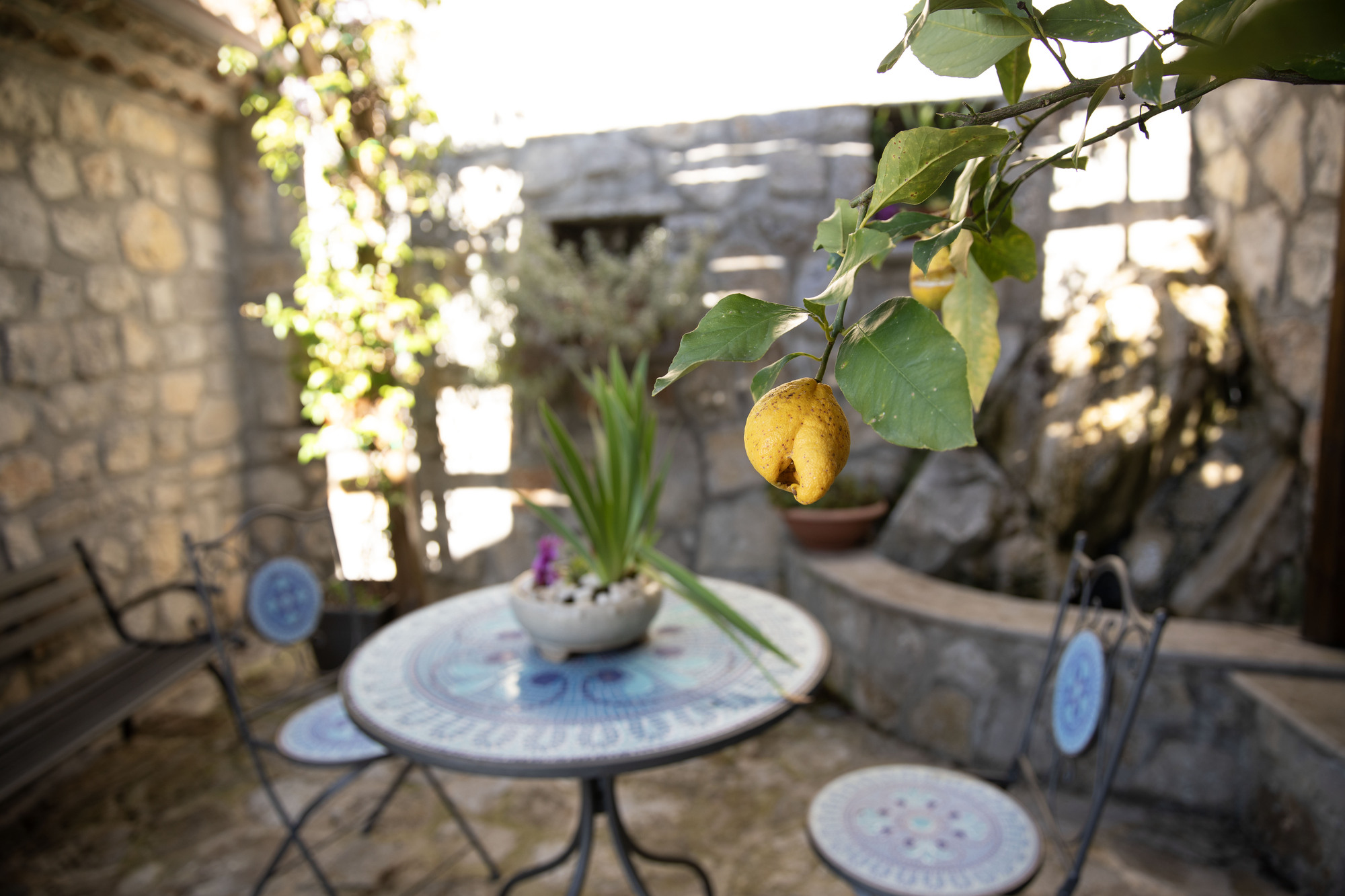 Particolare del giardino della dimora Mamma Peppina