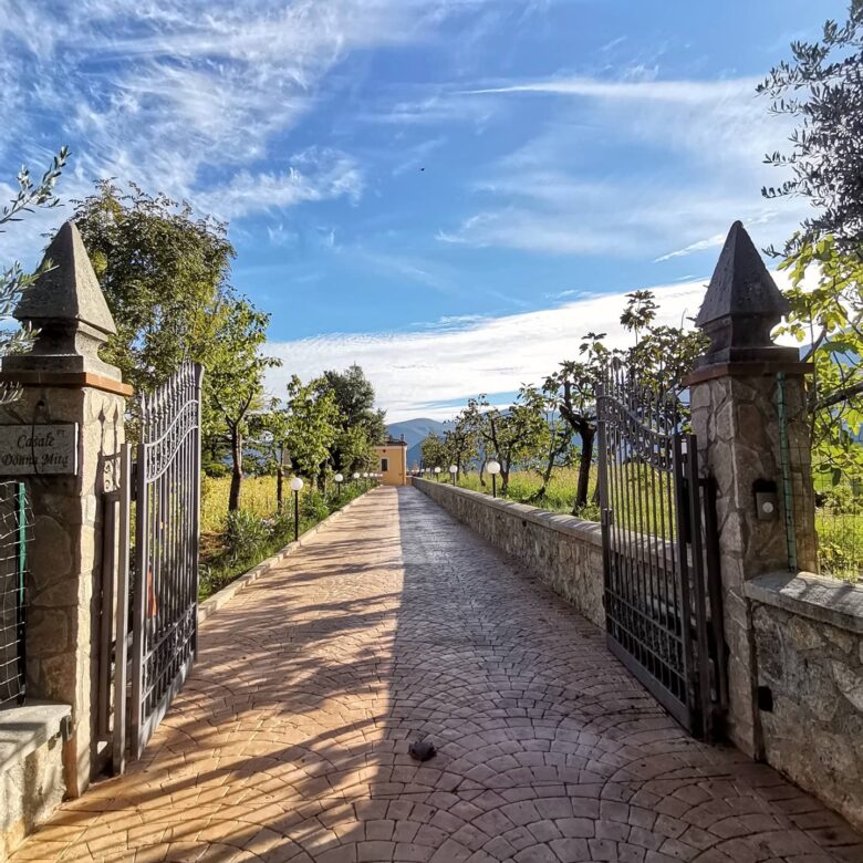 Viale del Casale Donna Mita